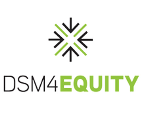 DSM4Equity